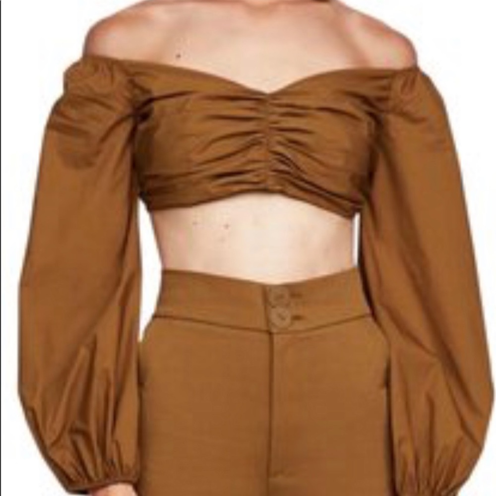 Zara Pecan Ruched Off Shoulder Crop Top Puff Long Sleeve Blouse